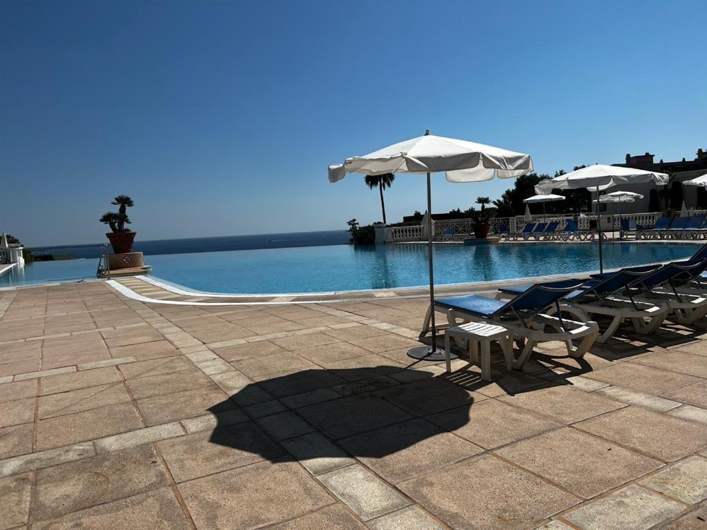 Beautiful Garden Apartment Cote D'Azur Cannes Eksteriør billede